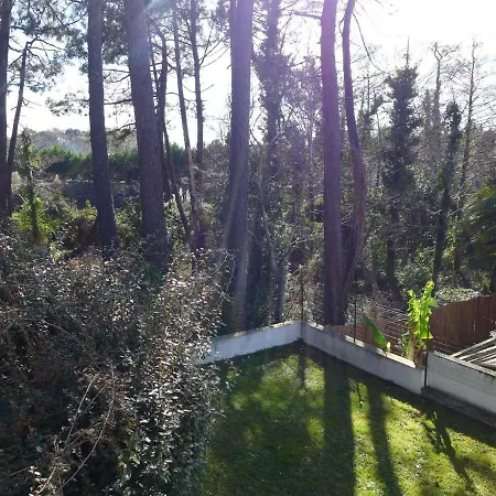 Holiday home Apartment Sabaou